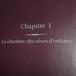 Hotel Le Grand Duc Valenciennes