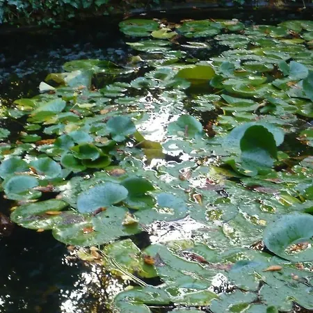 Le Grand Duc Отель 3*