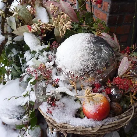 Отель Le Grand Duc Валансьен